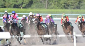JRAの出馬表、馬柱が無料で見れるサイト10選